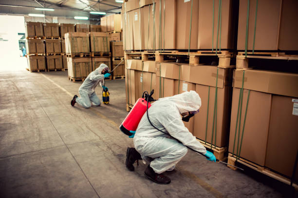 Best Local Pest Control Services  in Cedar Heights, MD