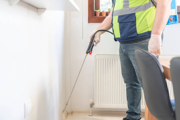 Best Wasp Removal Services  in Cedar Heights, MD
