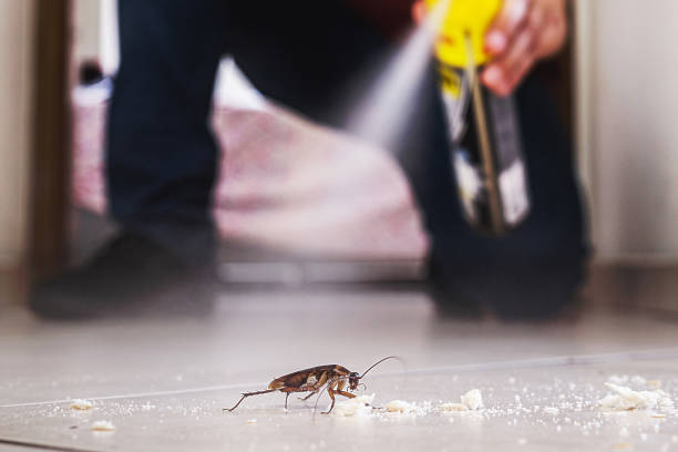Best Pest Prevention Services  in Cedar Heights, MD